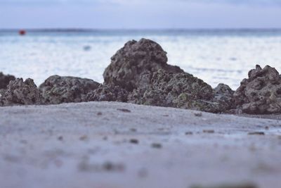 Surface level of rocks on beach against sky