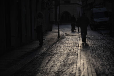 Rear view of silhouette people walking on footpath