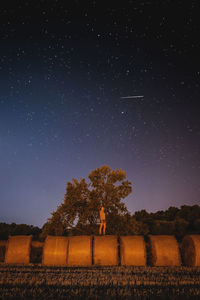 Trees on field against sky at night