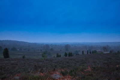 Trees on field against blue sky