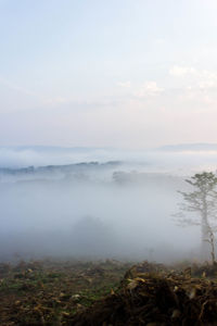 Scenic view of landscape against sky during foggy weather