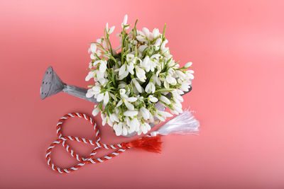 Close-up of pink flowering plant against red background