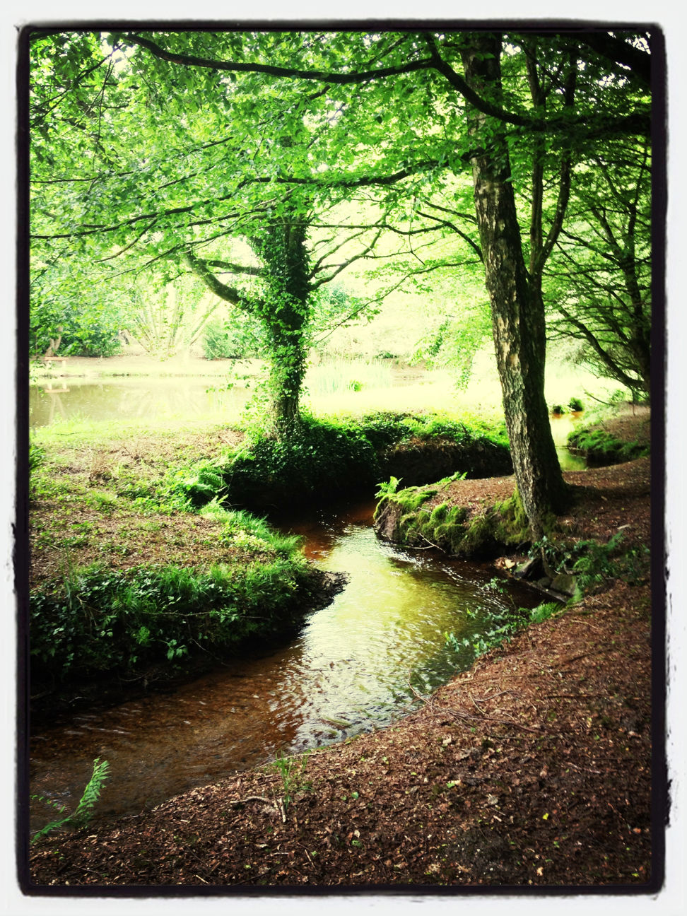 Le Moulin de Saint Yves