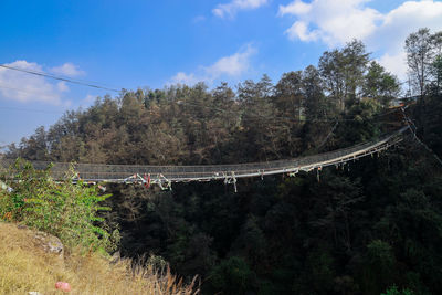 View of bridge and trees against sky