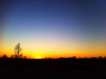 Silhouette of trees at sunset