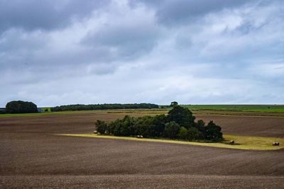 Scenic view of field against sky