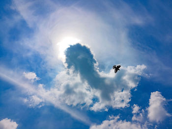 Low angle view of bird flying in sky