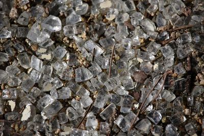 Close-up of ice cubes on field