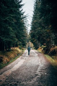 Rear view of a man walking on road in forest