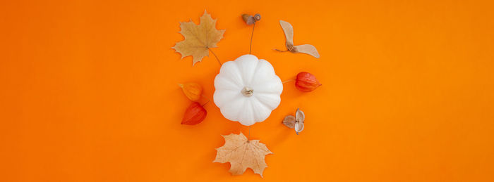 Directly above shot of orange flower on table