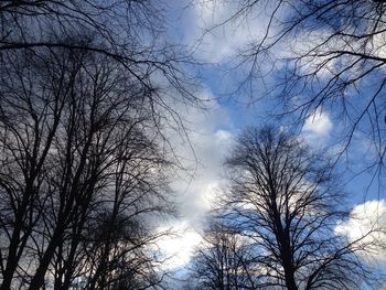 Low angle view of bare trees against sky