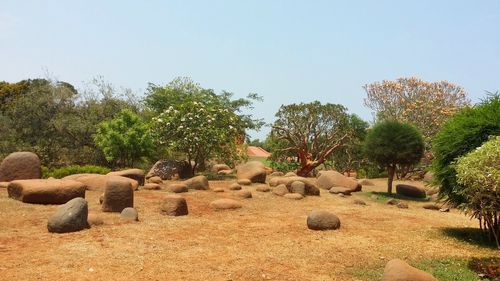 Rocks on field against clear sky