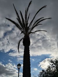 Low angle view of silhouette palm tree against sky