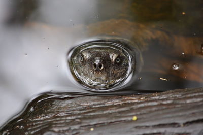 Close-up of water