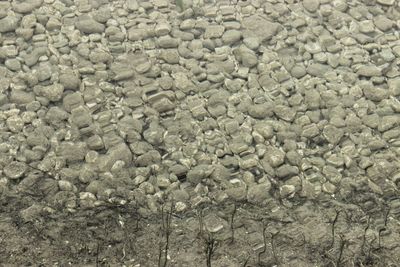 Full frame shot of white background