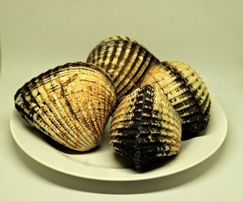 Close-up of seashell in plate