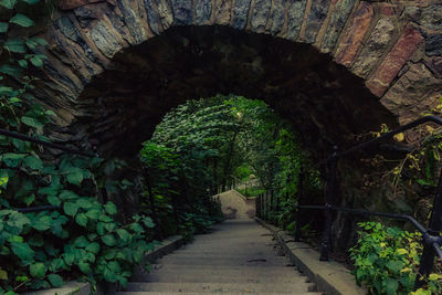 Footpath amidst trees in tunnel