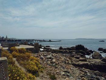 Scenic view of sea against sky