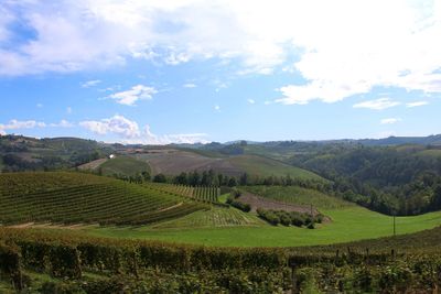 Scenic view of vineyard and agricultural field against sky