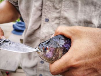 Close-up of man holding fish