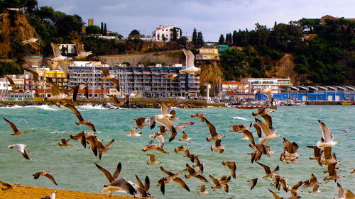 View of built structure in water