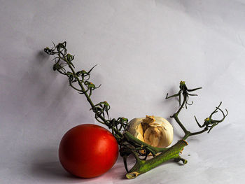 Close-up of fruits on table against white background