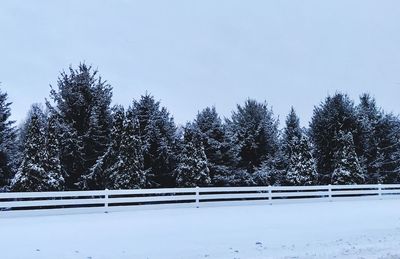 Trees on snow covered landscape against clear sky