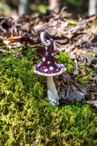 Close-up of mushroom growing on field