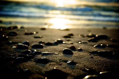 Close-up of sand at beach against sky