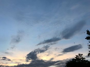 Low angle view of silhouette birds flying against sky