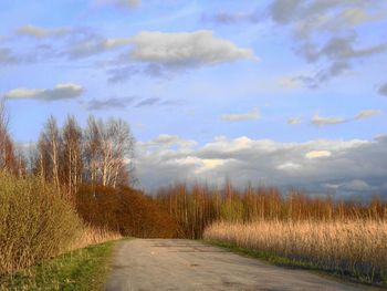 Road passing through field