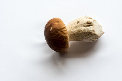 Close-up of bread against white background
