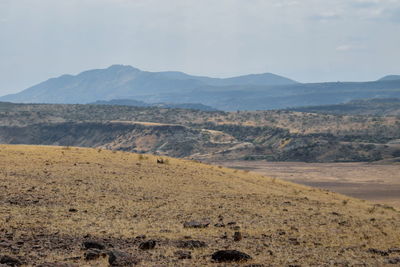 Scenic arid landscapes against sky, lake magadi, rift valley, kenya