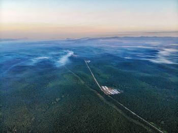 Aerial view over palm oil plantation during sunrise