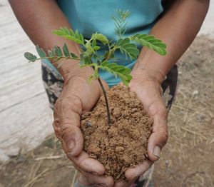 Midsection of woman holding plants