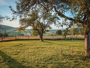 Trees on field against sky