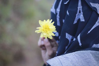 Close-up of yellow flower against blurred background
