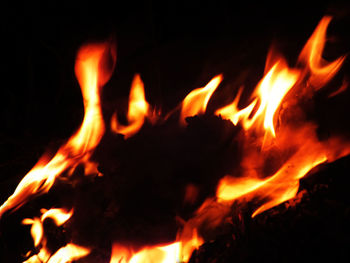 Close-up of fire in the dark