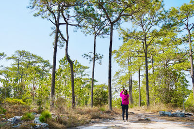 Rear view of woman walking amidst trees against sky