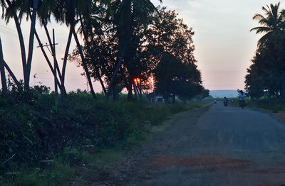Road passing through forest
