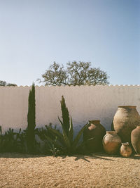 Garden in a villa in portugal. shot on 35mm kodak gold 200 film.