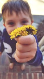 Close-up of boy playing with flowers