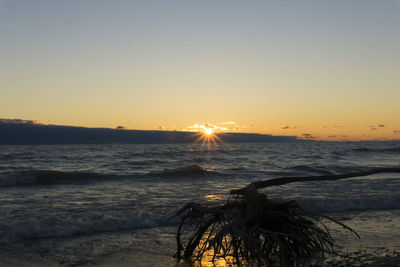 Scenic view of sea against clear sky during sunset