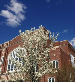 Low angle view of building against blue sky