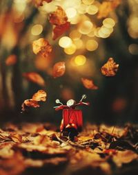 Young woman standing on field during autumn