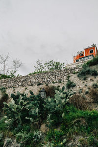 Plants against built structure