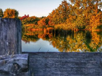 Scenic view of lake by trees during autumn