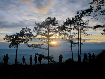 Silhouette people on tree against sky during sunset