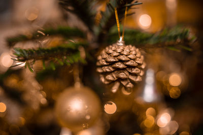 Close-up of christmas tree