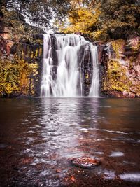 Scenic view of waterfall in forest